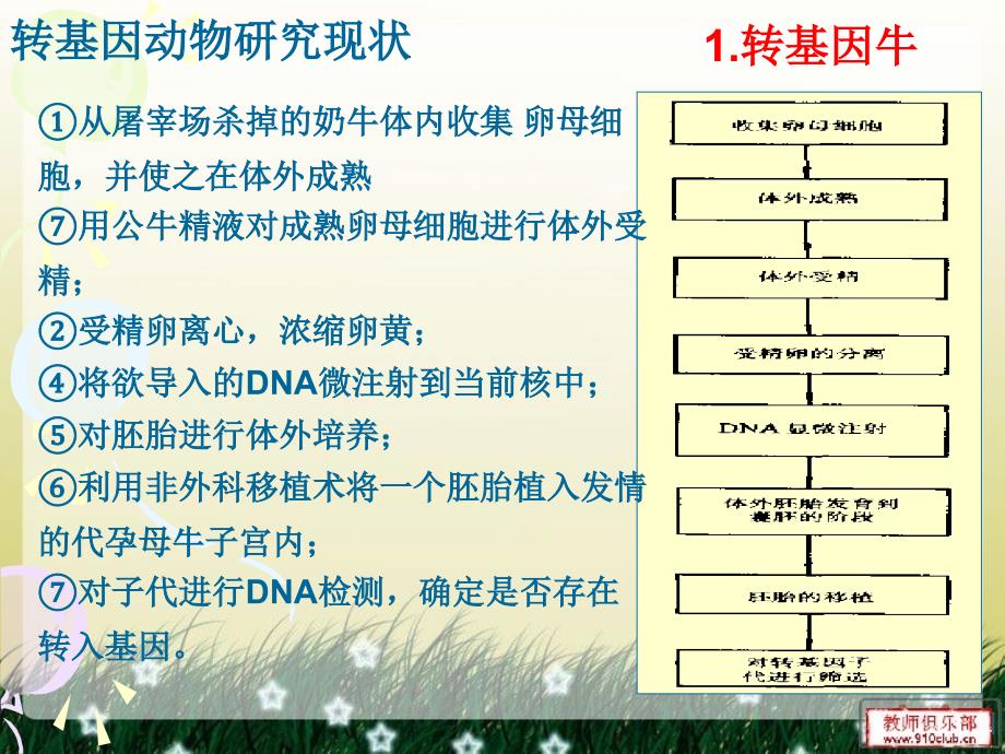 第九章转基因动物与生物反应器_第3页