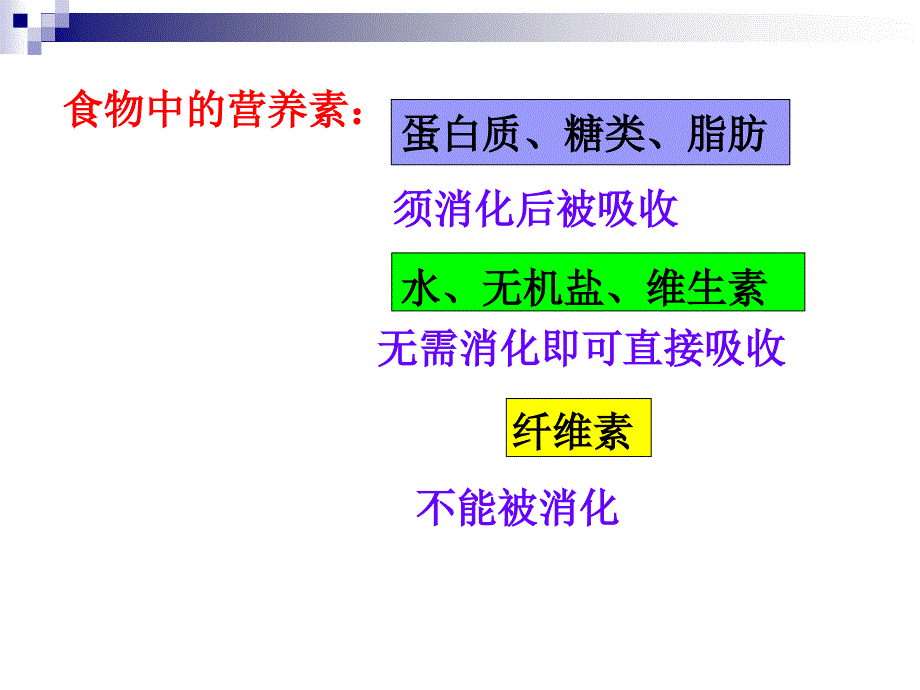 食物的消化与吸收 PP课件_第2页