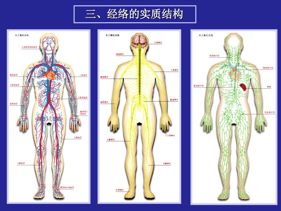 中医基础理论02_第4页