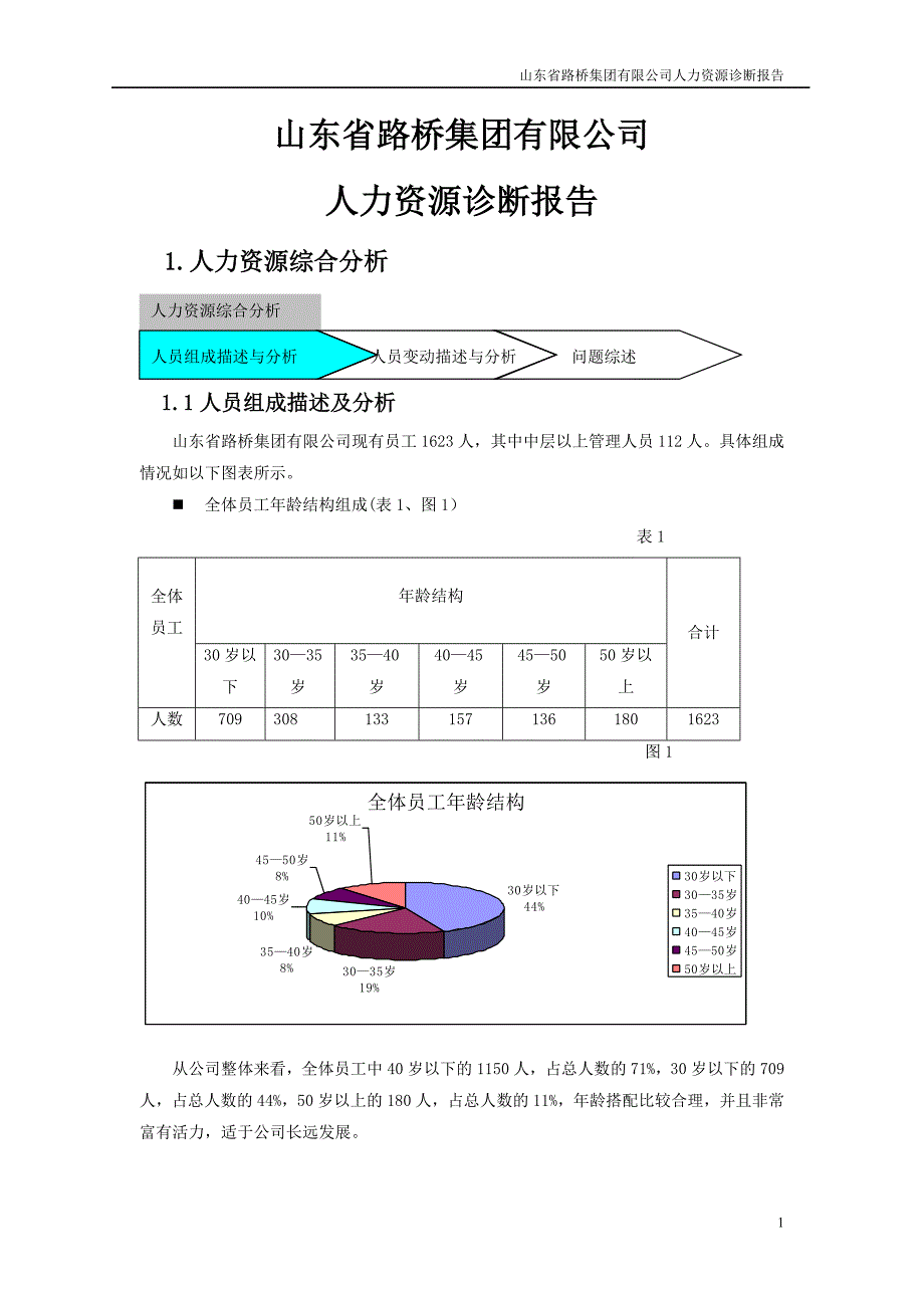 九略—山东路桥—人力资源诊断0526_第3页