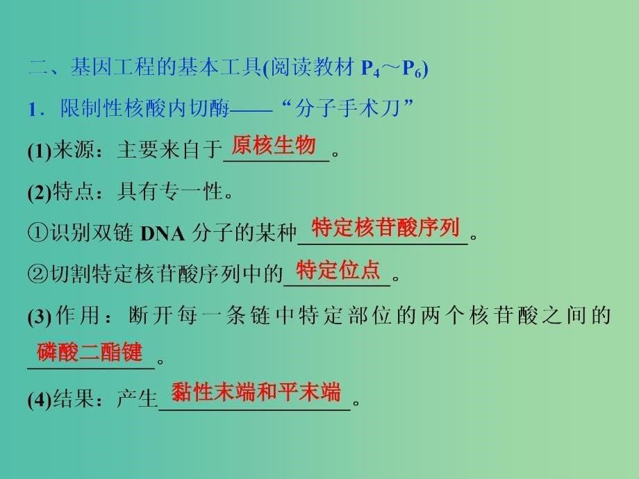 2019年春高中生物 专题1 基因工程 1.1 DNA重组技术的基本工具课件 新人教版选修3.ppt_第5页