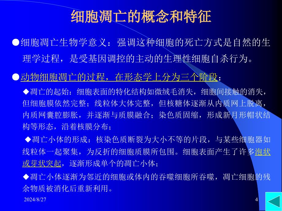 程序性细胞死亡与细胞衰老PPT课件_第4页