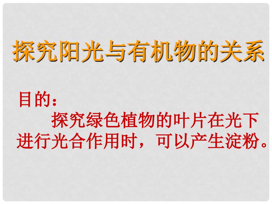 宁夏石嘴市惠农中学七年级生物 有机物从哪里来课件_第2页