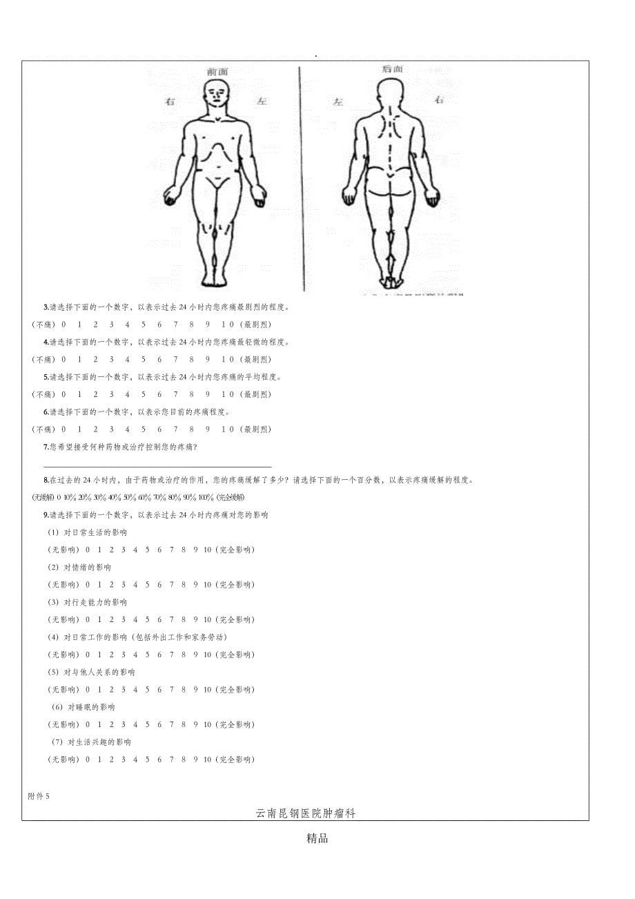 癌痛评估标准化文件_第5页