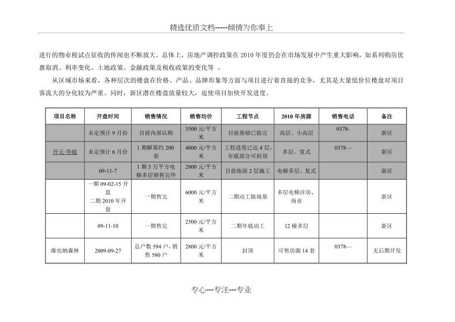 郑开-森林半岛2010年度推广执行方案_第5页