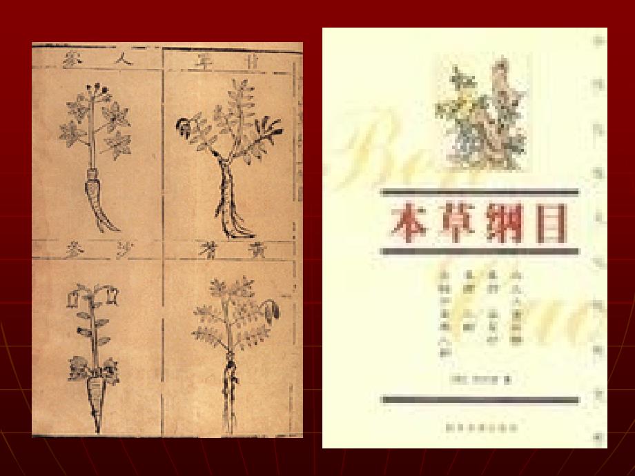 《本草纲目李时珍》PPT课件.ppt_第2页