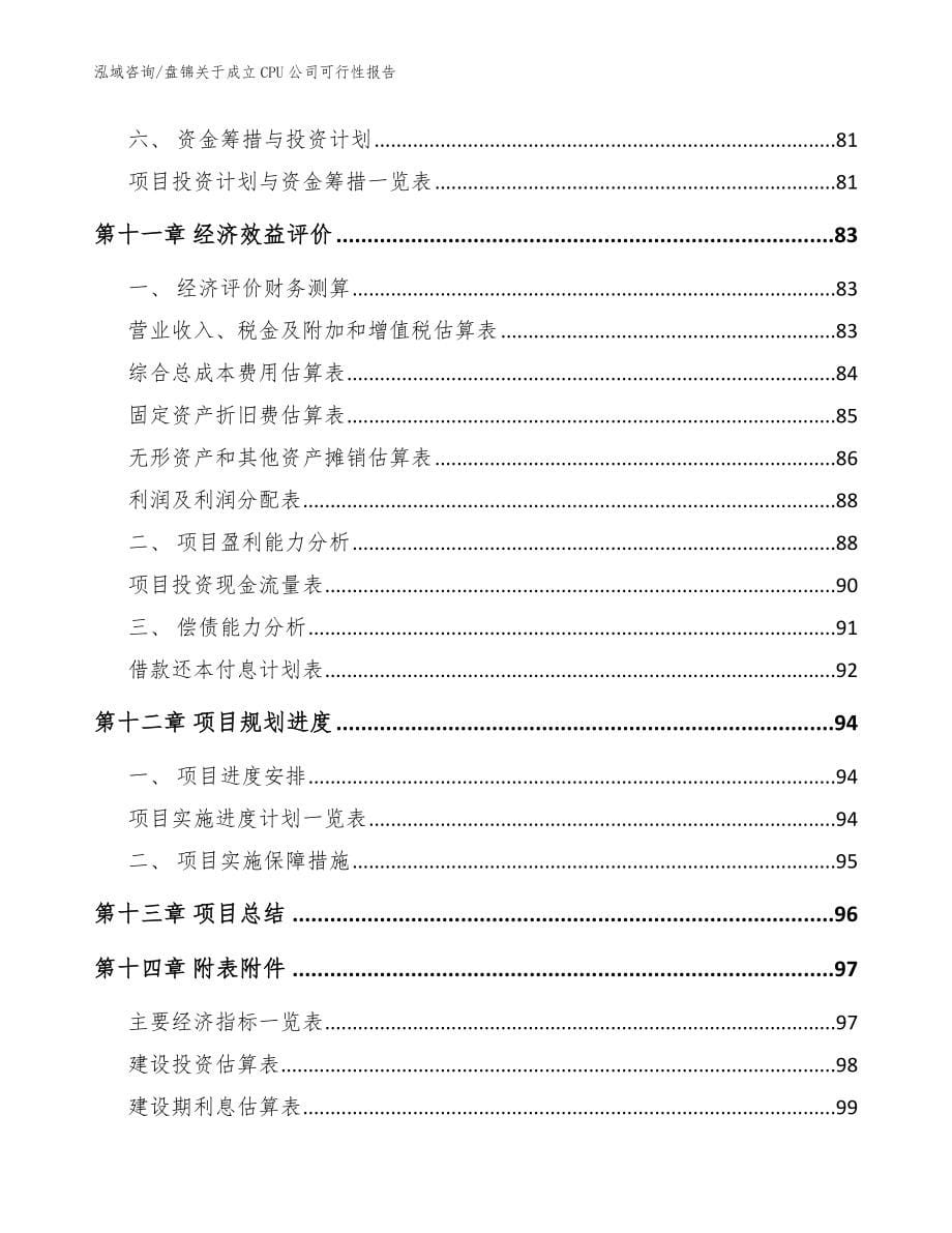 盘锦关于成立CPU公司可行性报告模板范本_第5页