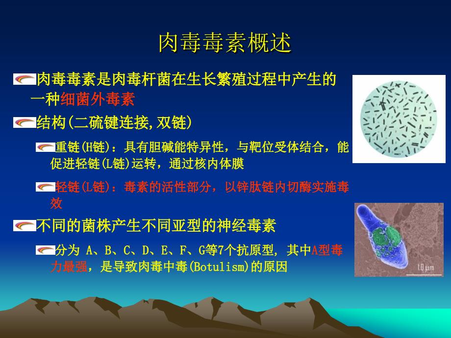 肉毒毒素的康复临床应用_第4页