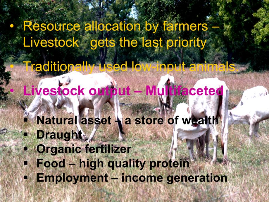 Increasig Livestock Production through LowInput Intervention A 增加牲畜生产的低投入的干预_第2页