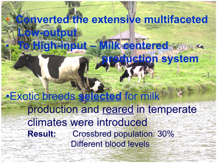 Increasig Livestock Production through LowInput Intervention A 增加牲畜生产的低投入的干预_第3页