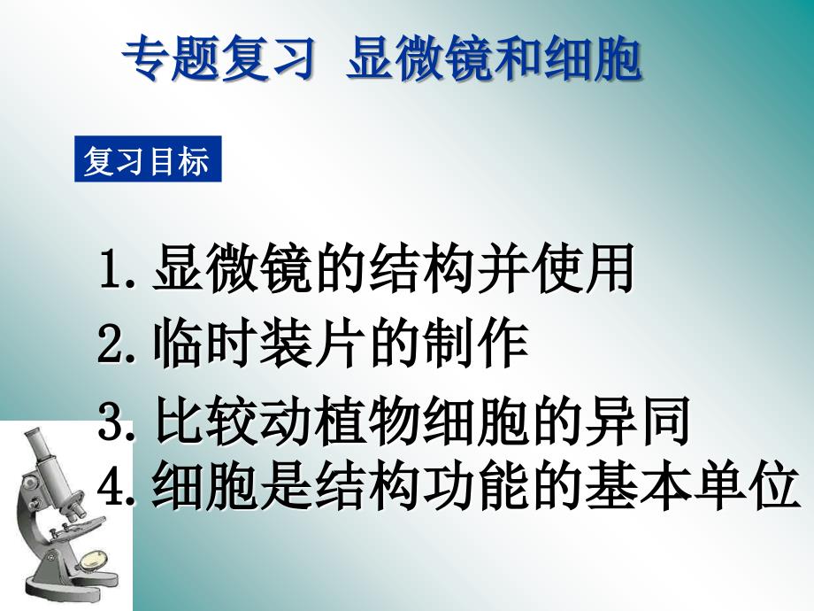 专题二生物体的结构层次专题复习_第2页