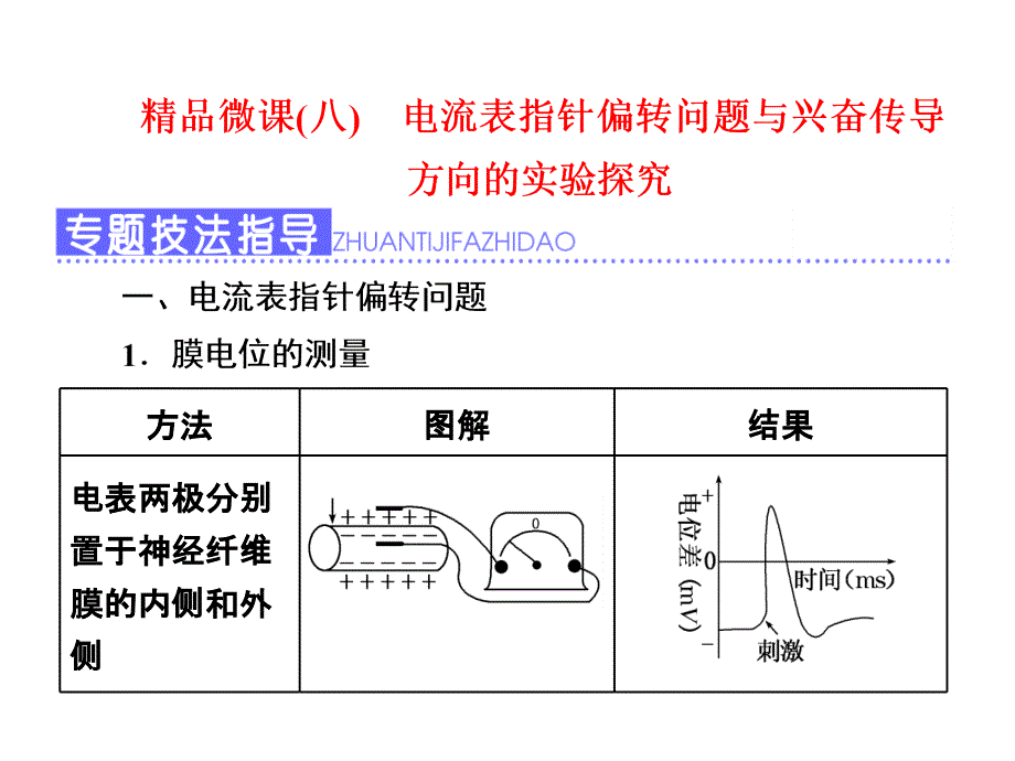 电流表指针偏转问题与兴奋传导方向的实验探究_第1页