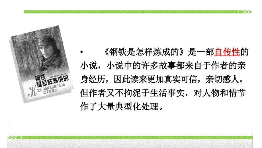 名著导读钢铁是怎样炼成的摘抄和做笔记_第5页