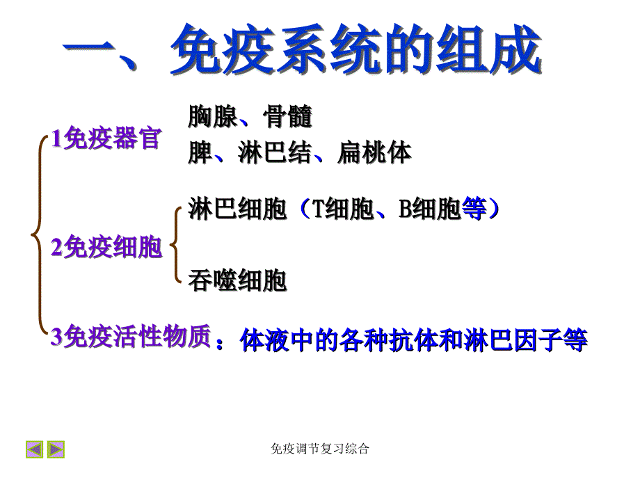 免疫调节复习综合课件_第1页