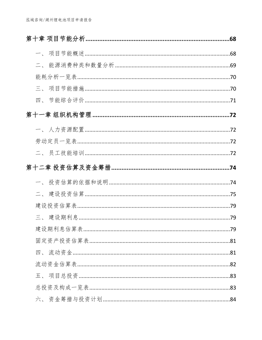 湖州锂电池项目申请报告（模板）_第3页
