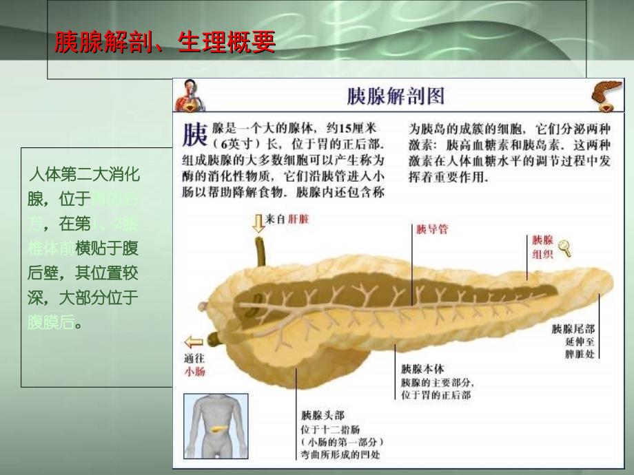 胰腺常见病变的CT诊断_第3页