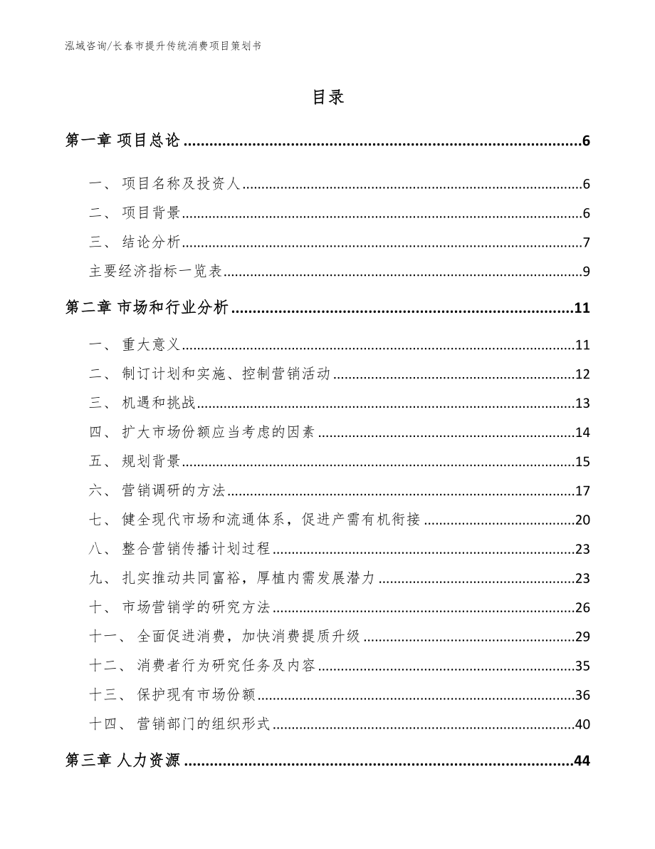 长春市提升传统消费项目策划书范文参考_第2页