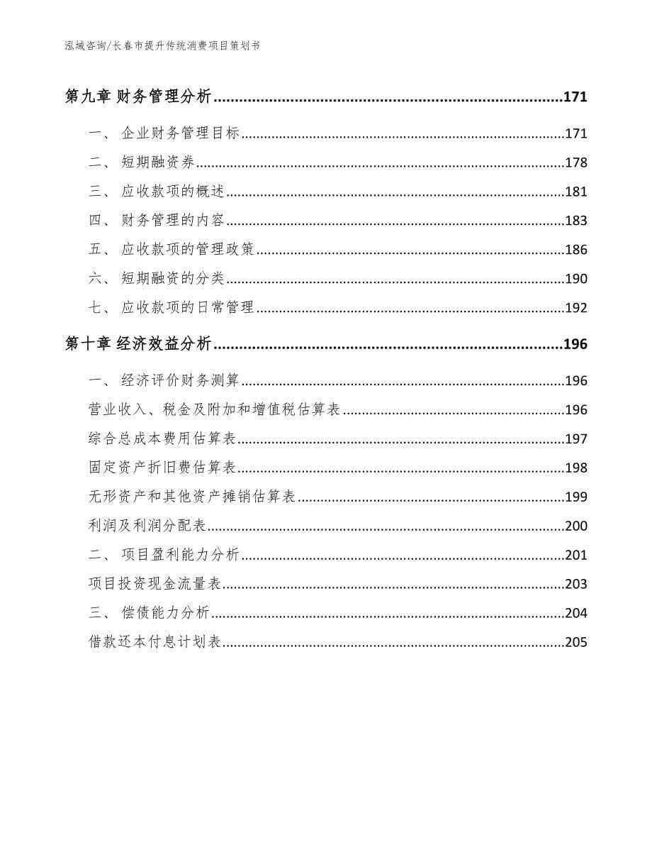 长春市提升传统消费项目策划书范文参考_第5页