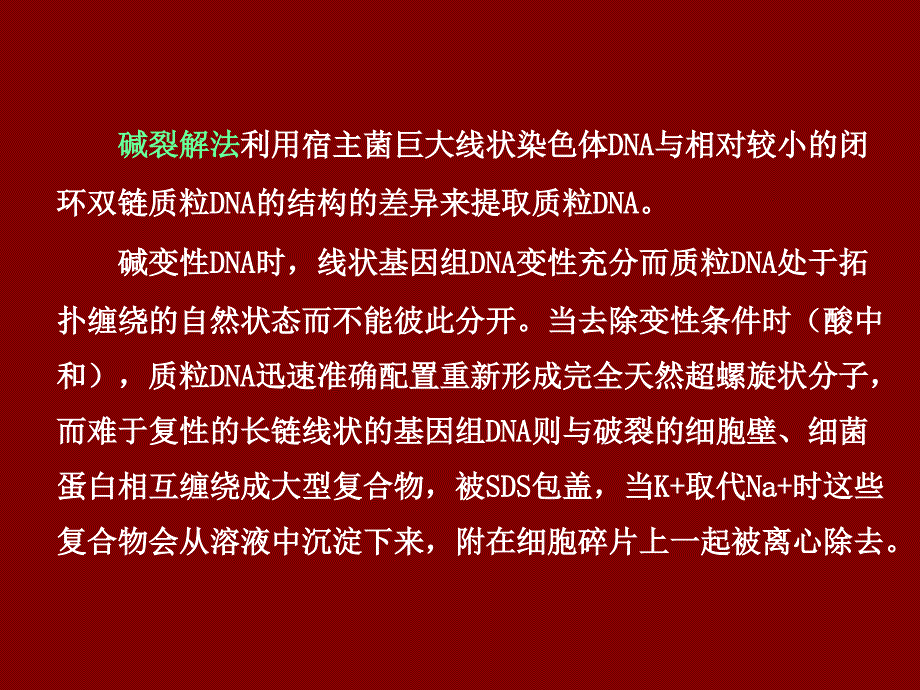 实验一：质粒提取实验_第4页