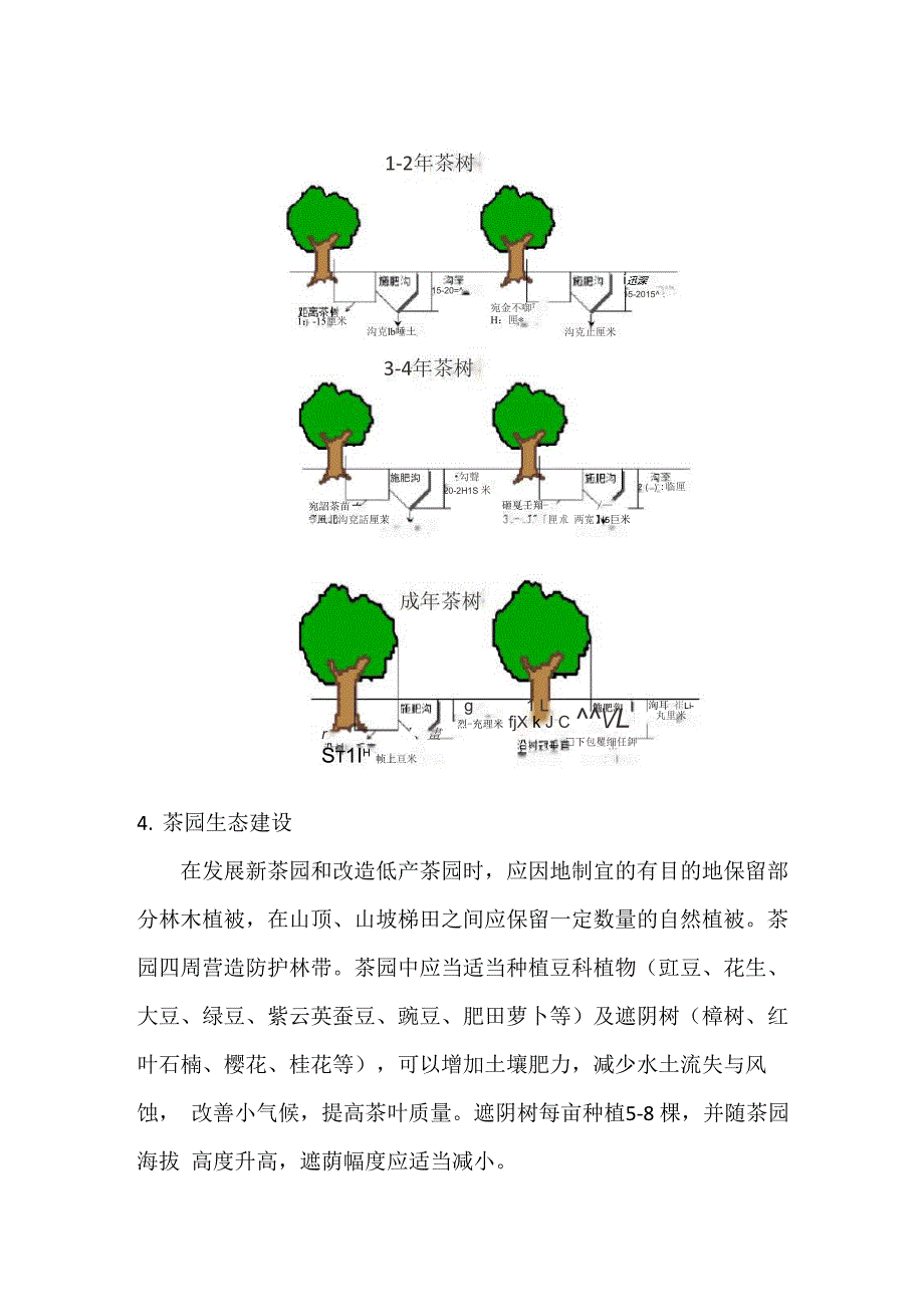 茶树修剪和合理施肥技术_第4页