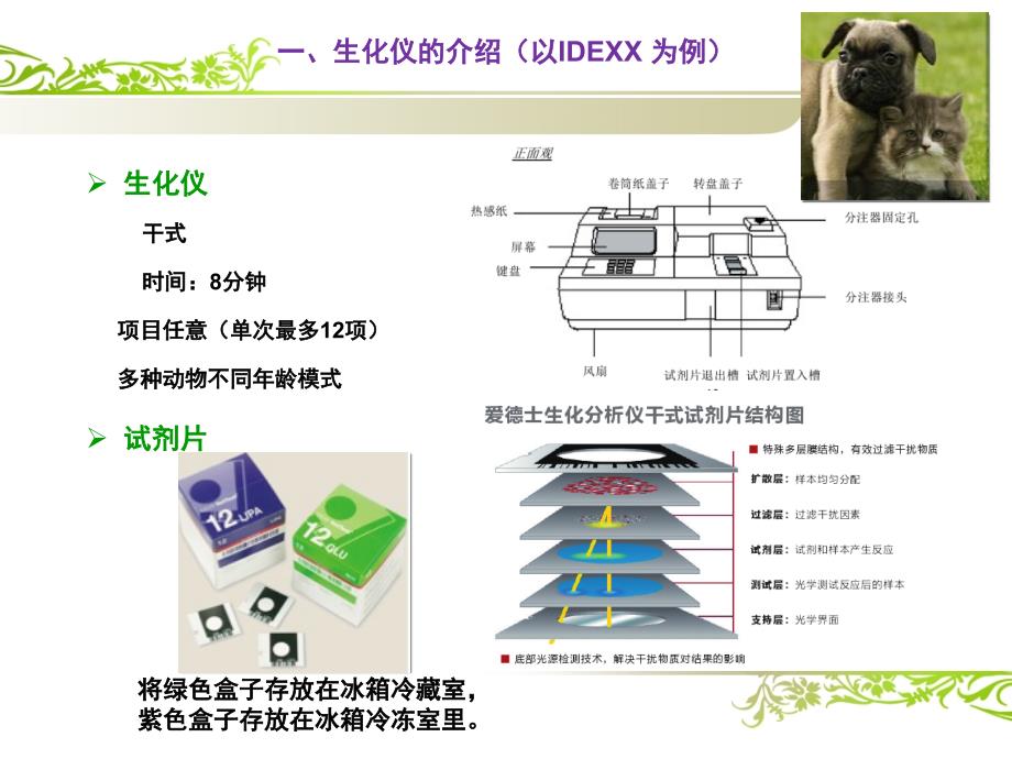 宠物临床诊疗生化讲义课件_第3页