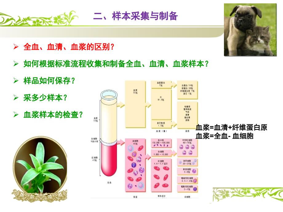 宠物临床诊疗生化讲义课件_第4页