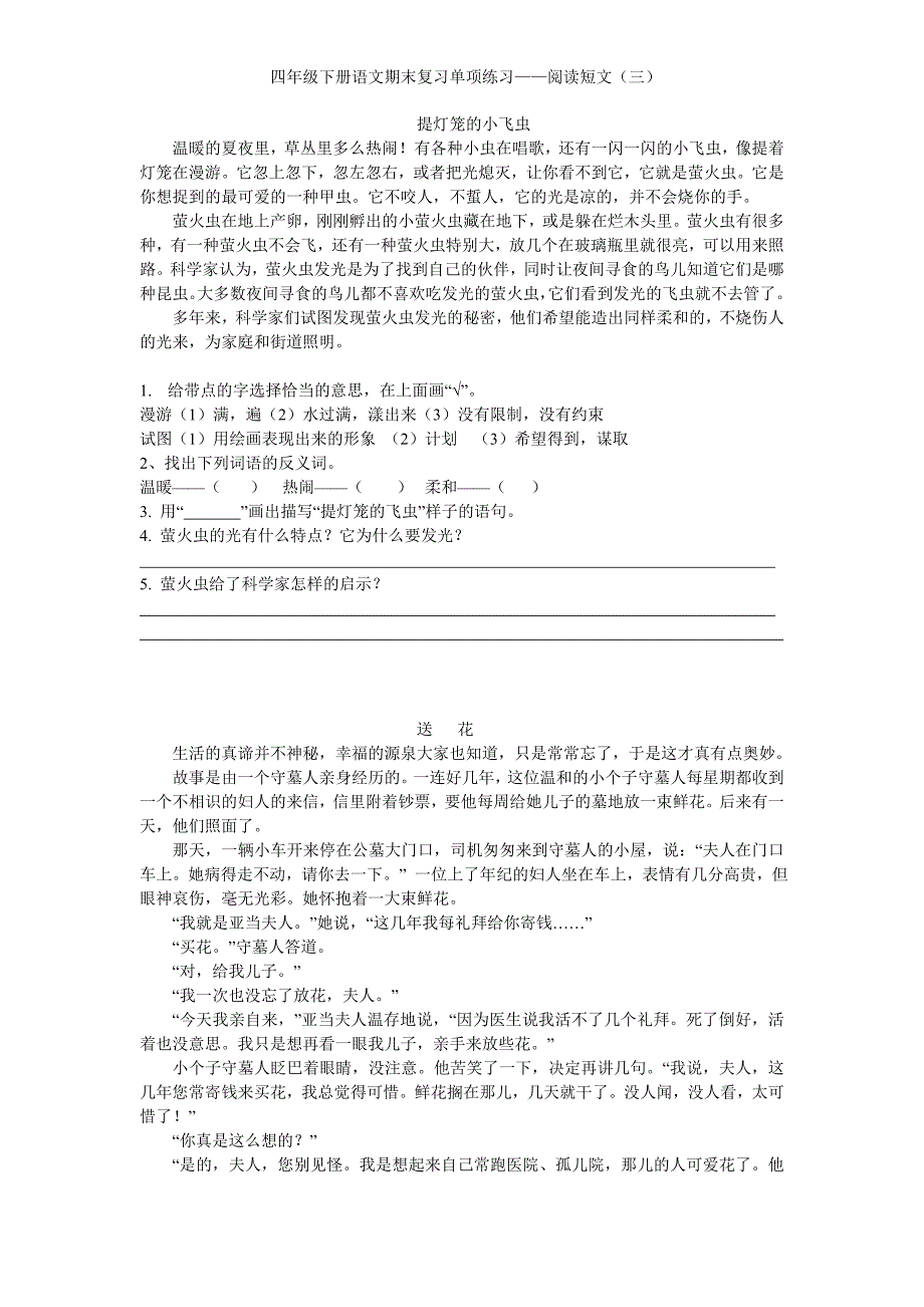 提灯笼的小飞虫_第1页