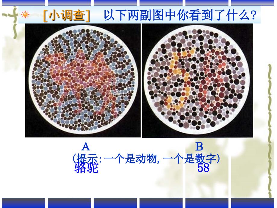 伴性遗传公开课完整版ppt课件_第2页