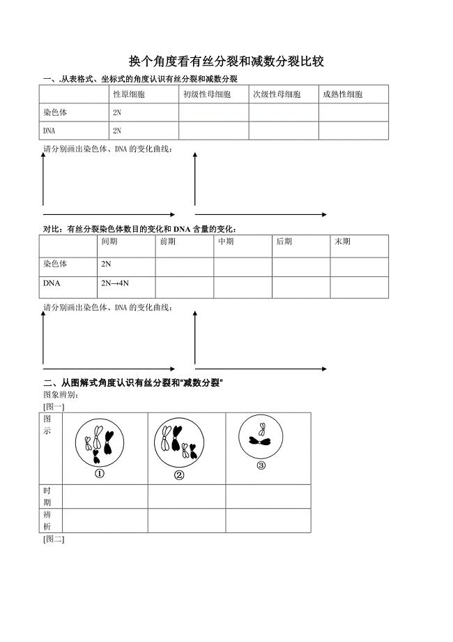 换个角度看有丝和减数比较.doc