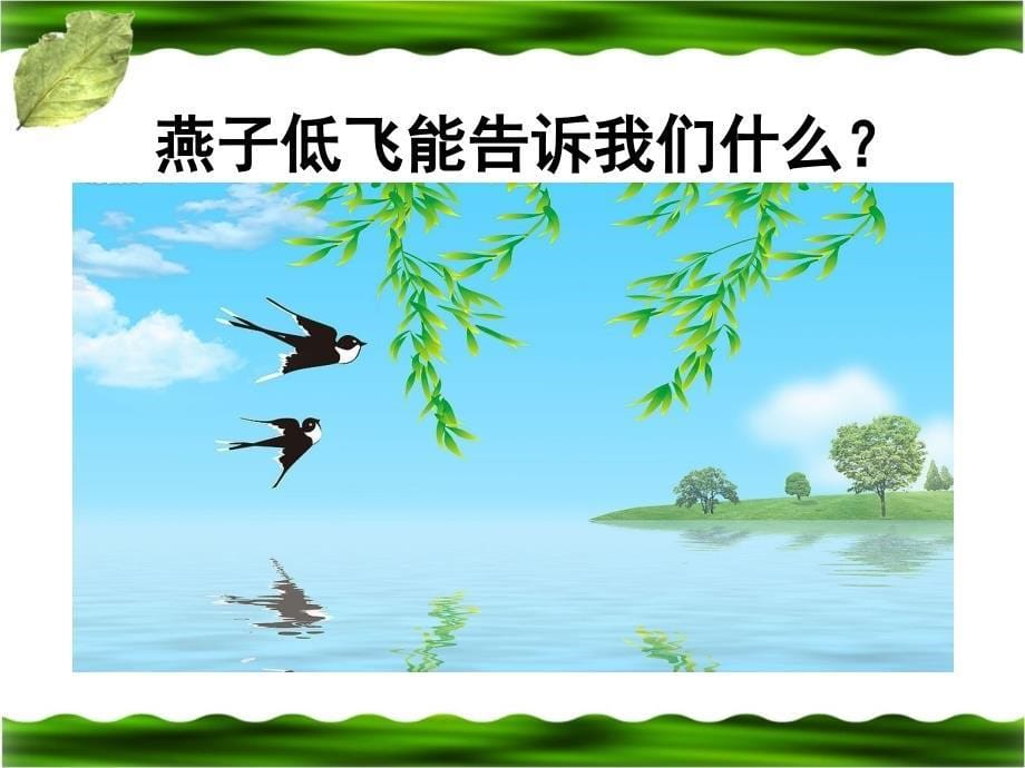 《来自大自然的信息》参考课件_第5页