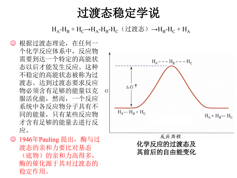 第二酶的结构与功能酶的催化机制_第3页