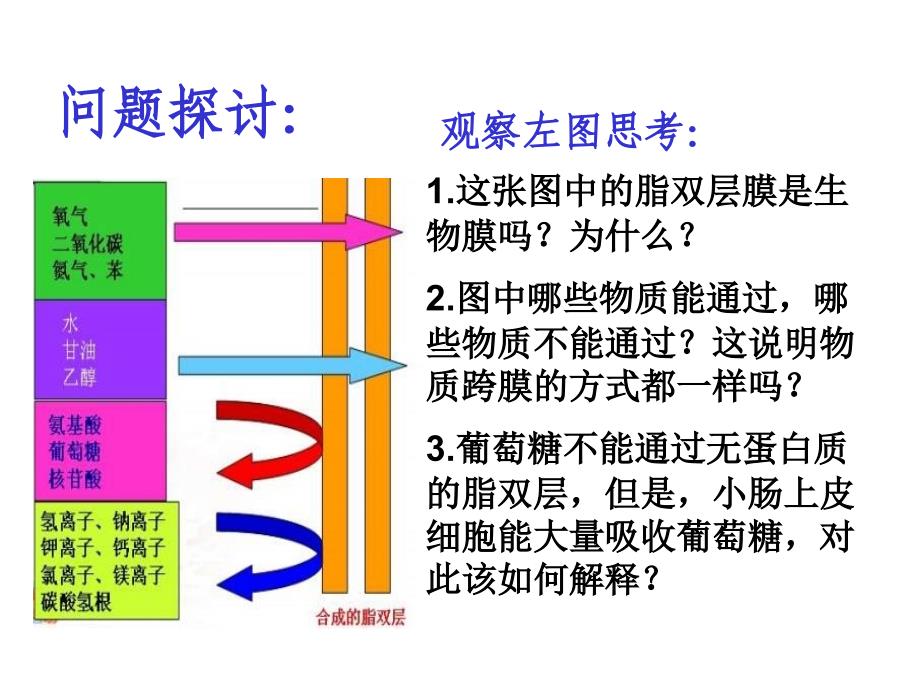 物质的跨膜运输富源一中任娅娟_第4页