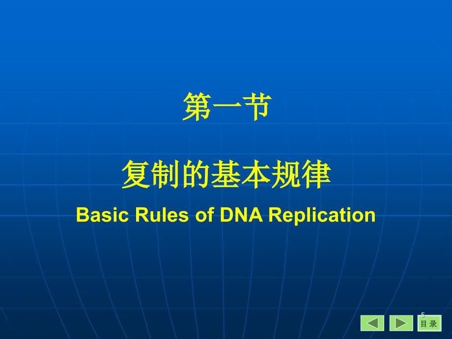 DNA的生物合成ppt课件_第5页