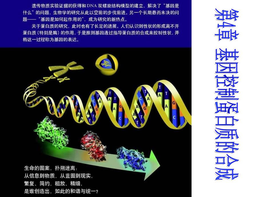 [课件]第10课基因控制蛋白质的合成_第1页