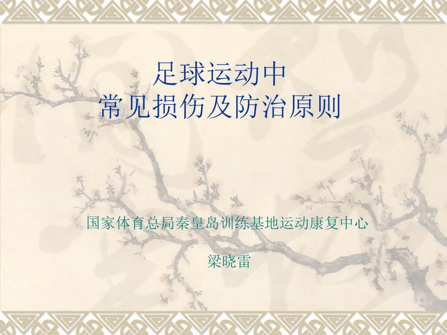 足球运动中的常见损伤及防治原则_第1页