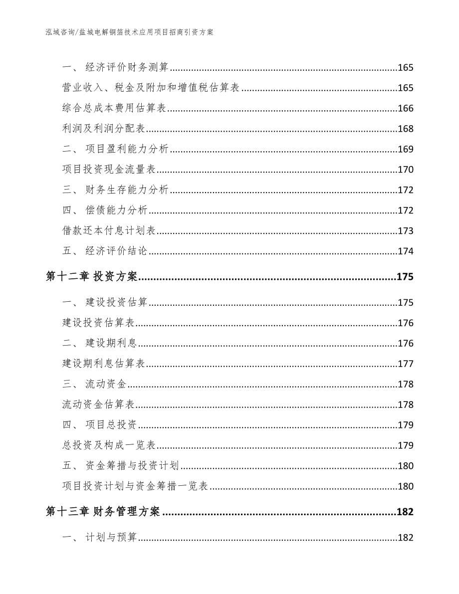 盐城电解铜箔技术应用项目招商引资方案_第5页