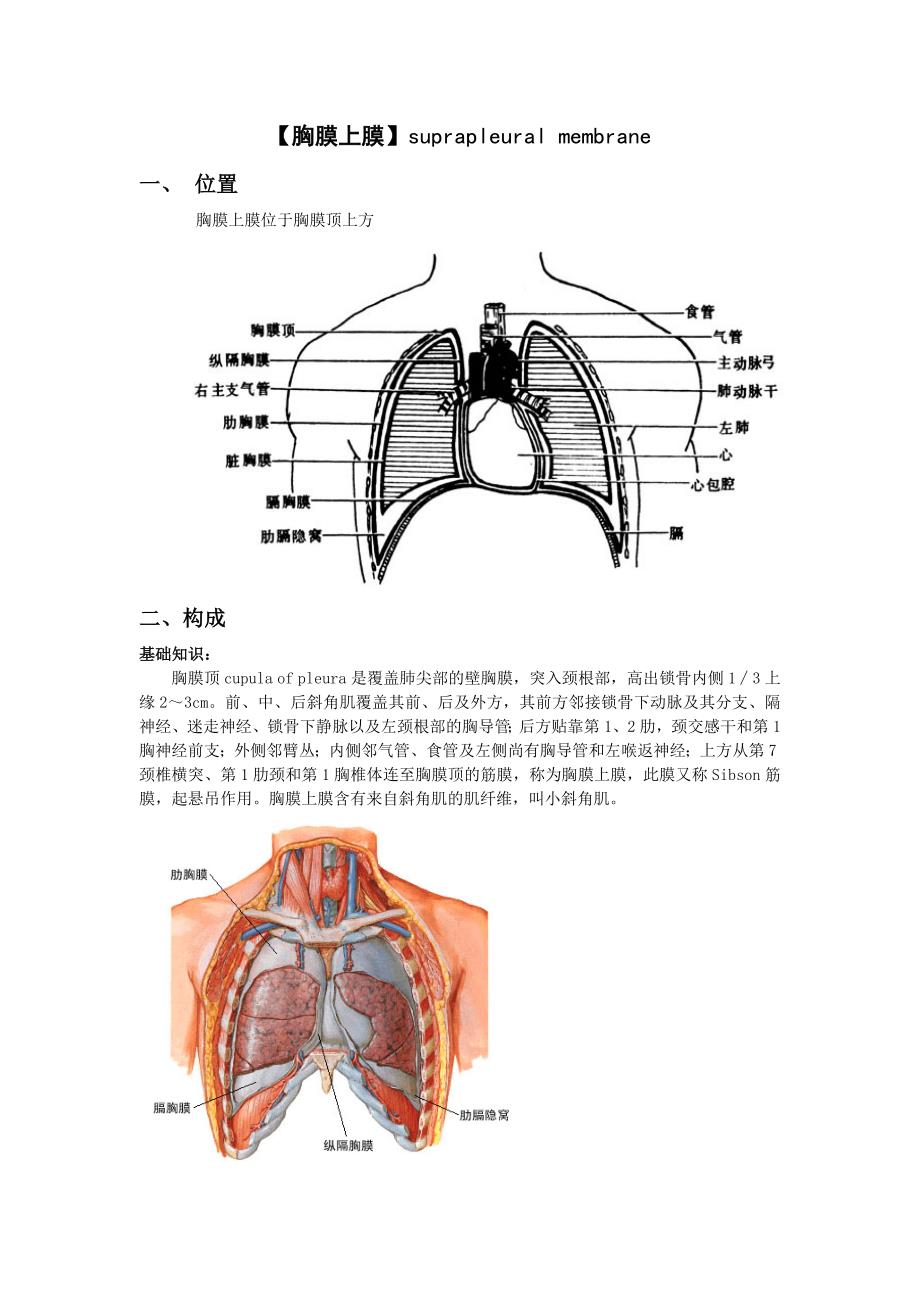 胸膜上膜Microsoft Word 文档(精品)_第1页