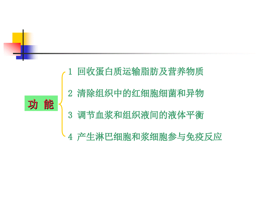 系统解剖学教学课件：第十一章 淋巴系统 (2)_第2页