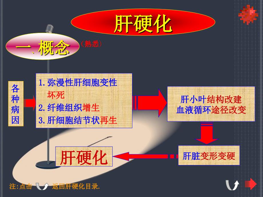 病理学消化系统疾病肝硬化_第4页