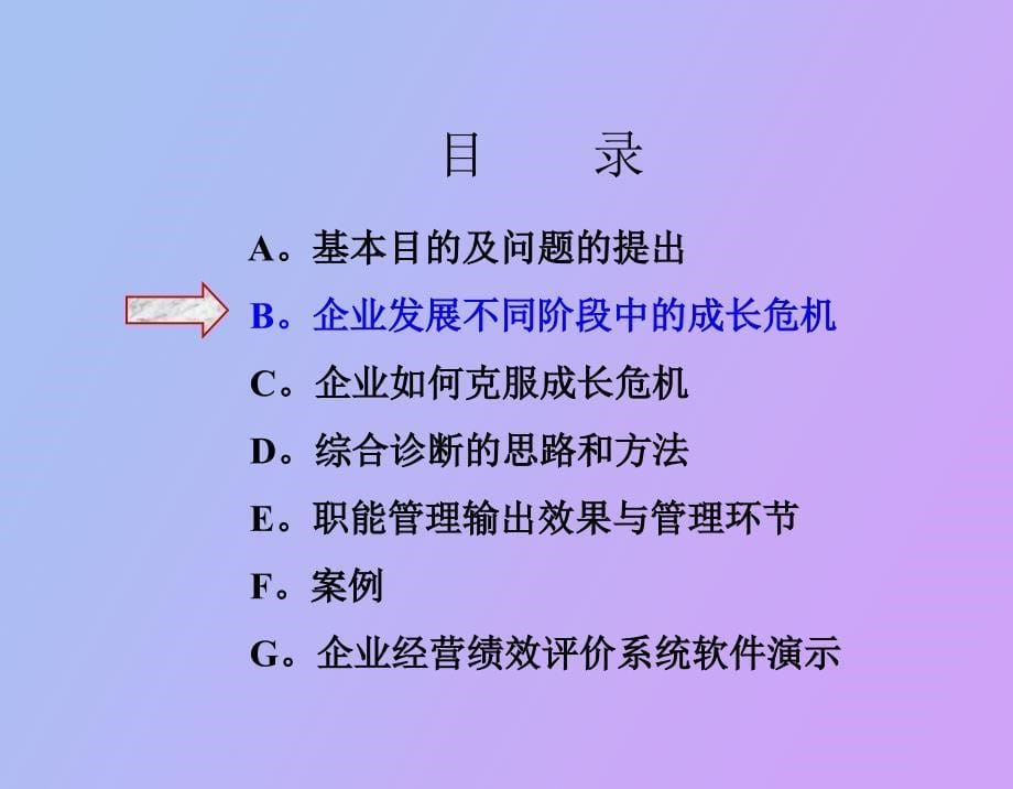 企业管理综合诊断_第5页