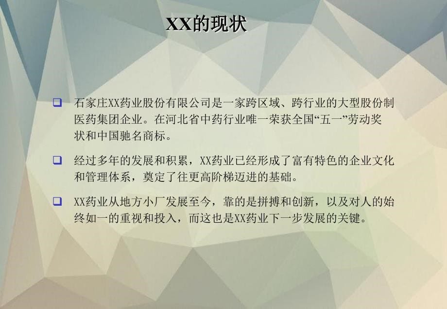 系统提升人力资源管理项目建议书_第5页