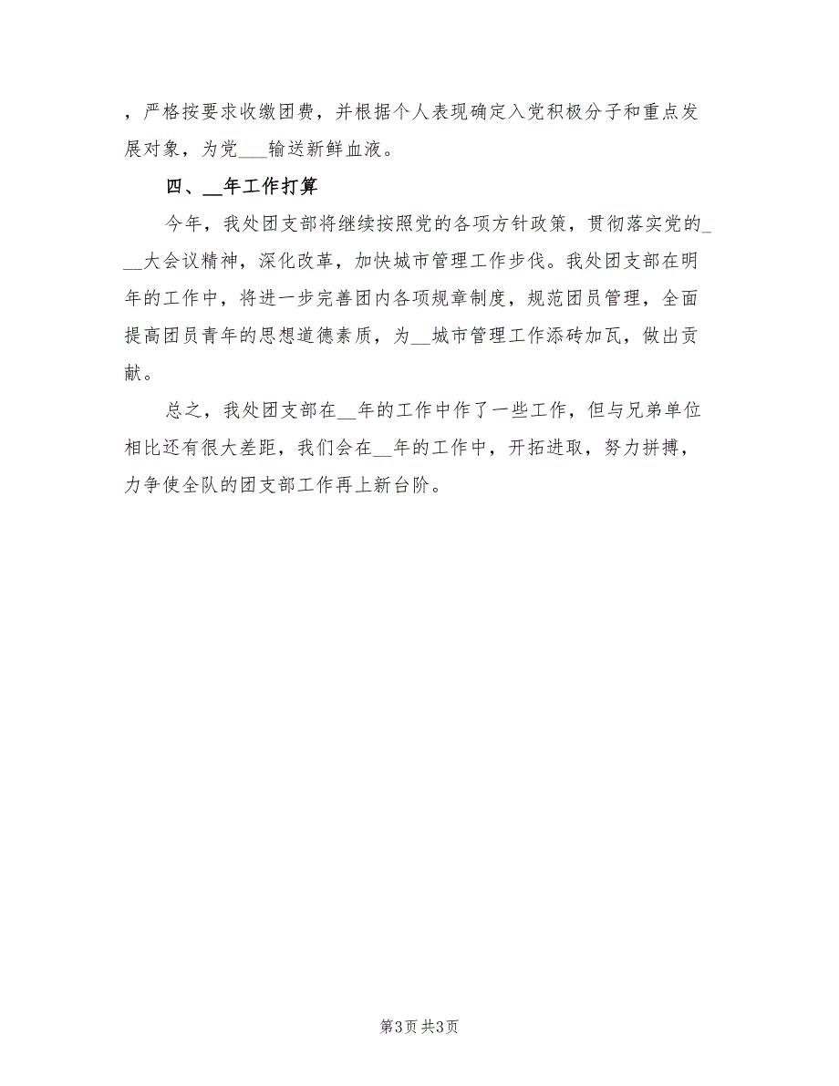 2022年城市管理团支部工作总结_第3页