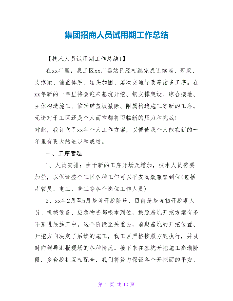 集团招商人员试用期工作总结_第1页