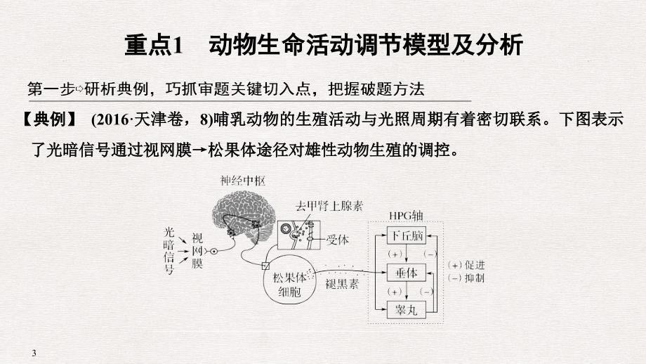 高考生物一轮复习 补上一课5 动物激素生理功能的相关实验分析课件_第3页