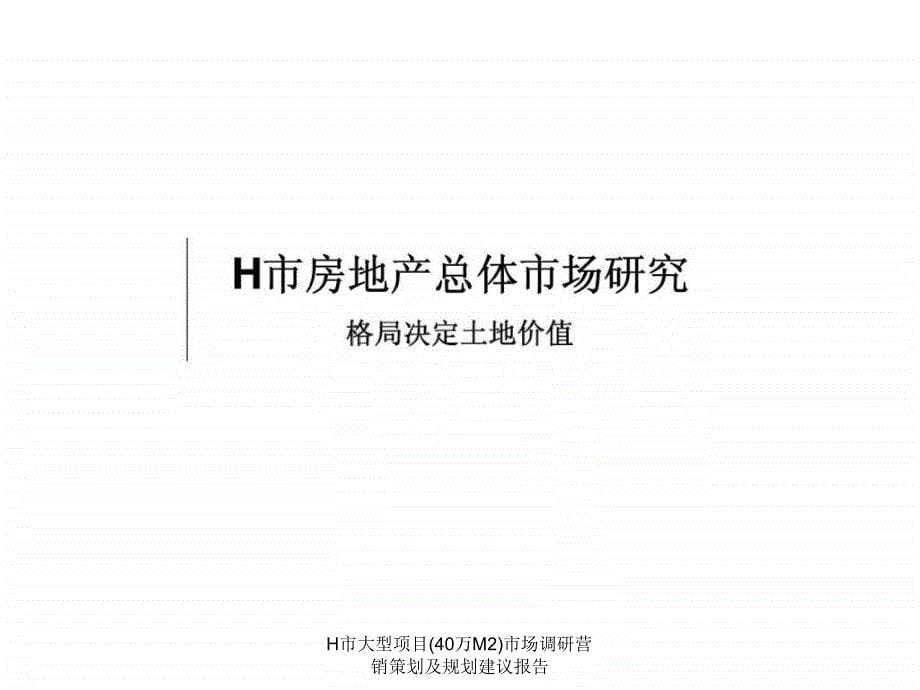 H市大型项目(40万M2)市场调研营销策划及规划建议报告课件_第5页