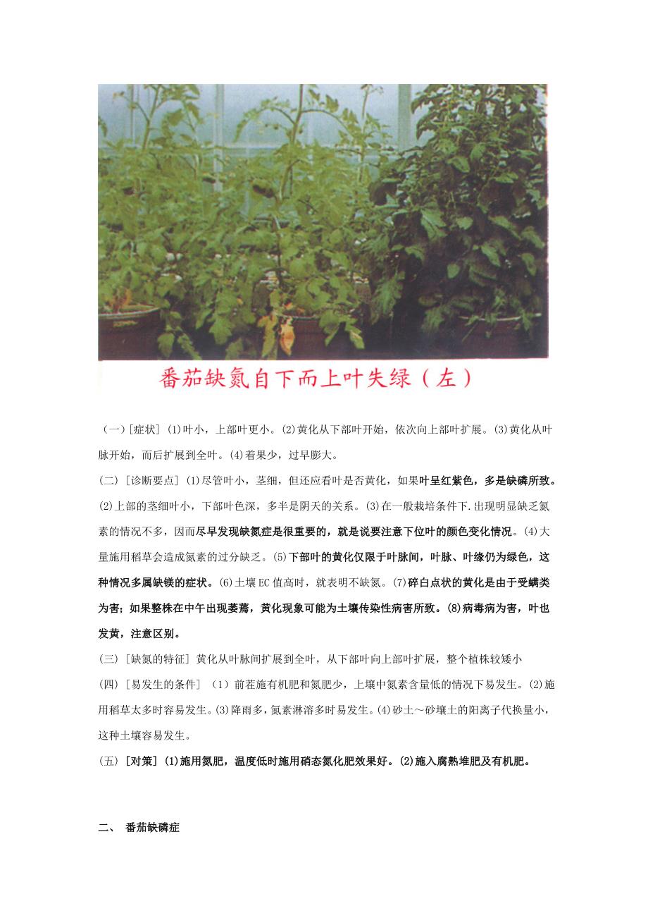 番茄茄子辣椒文图_第2页