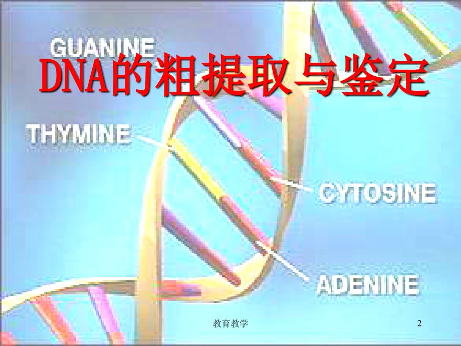 DNA的粗提取与鉴定高教课堂_第2页