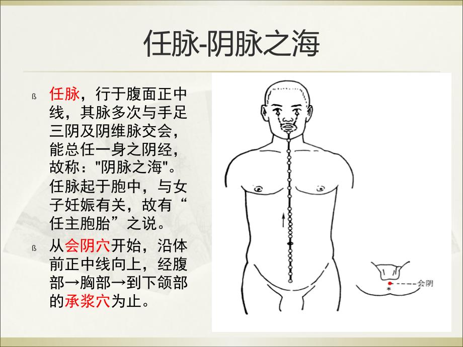 奇经八脉PPT课件_第4页