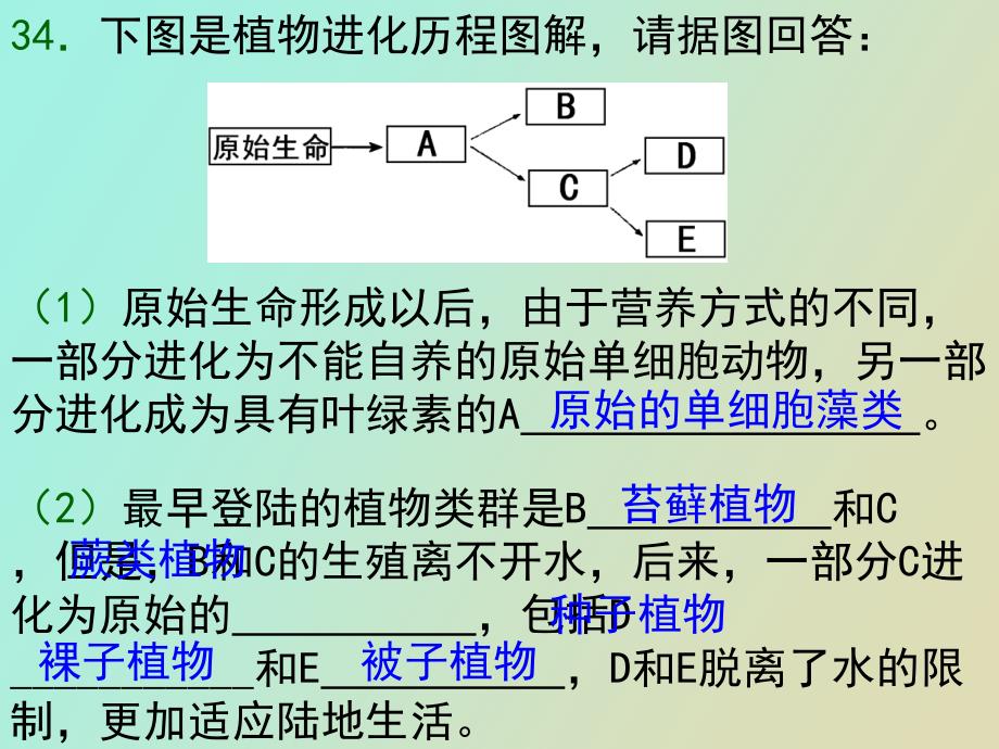 自然选择和生态系统_第3页