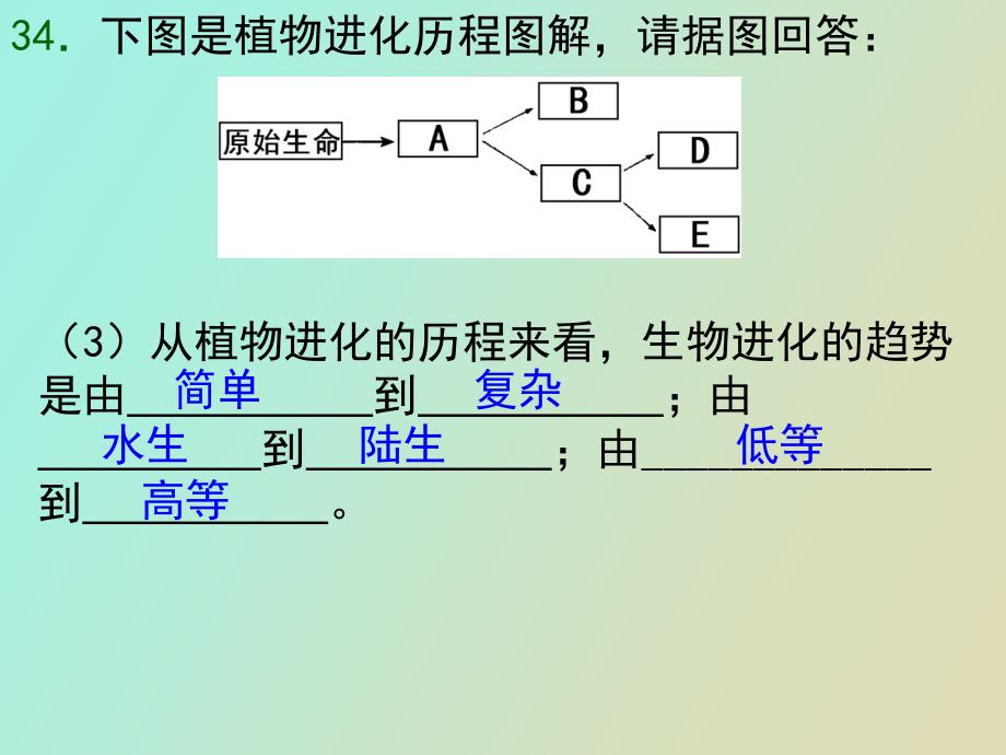 自然选择和生态系统_第4页